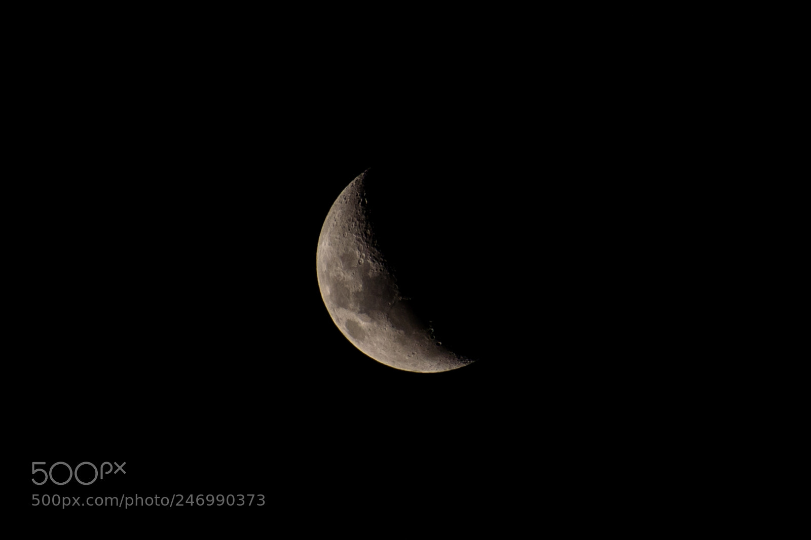 Nikon D750 sample photo. Crescent moon photography
