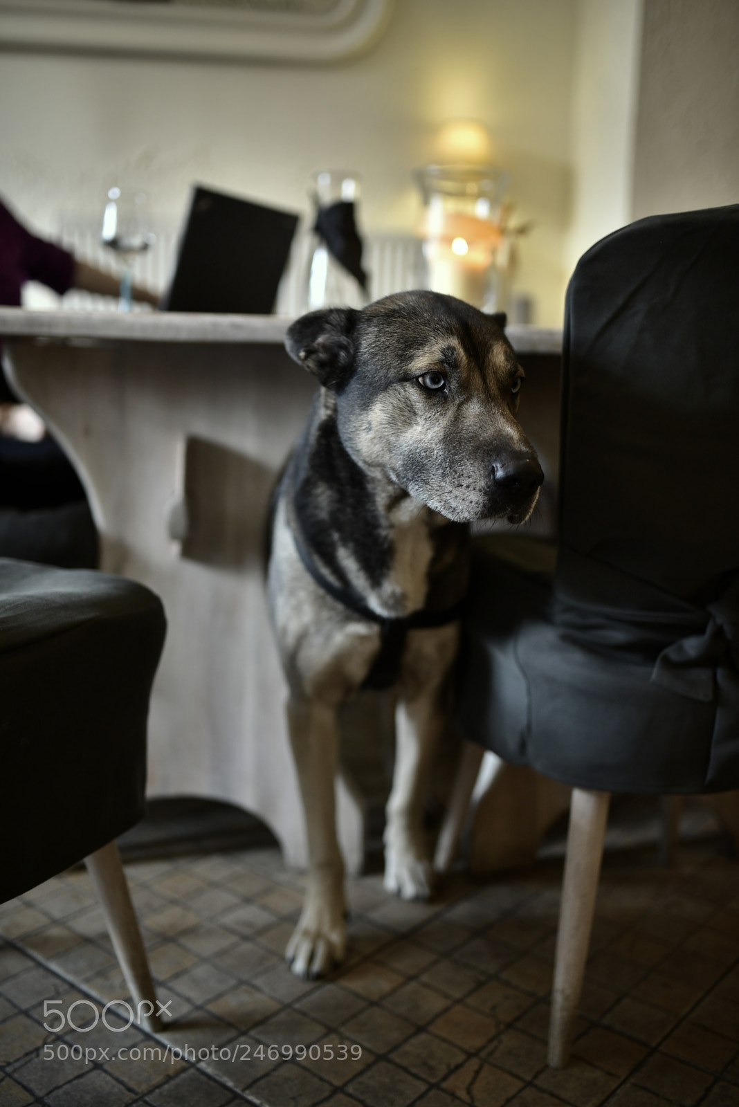 Nikon D750 + Sigma 35mm F1.4 DG HSM Art sample photo. Dsc photography