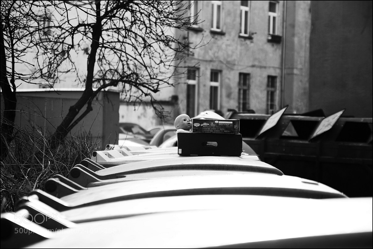 Canon EOS 7D Mark II sample photo. Untitled photography