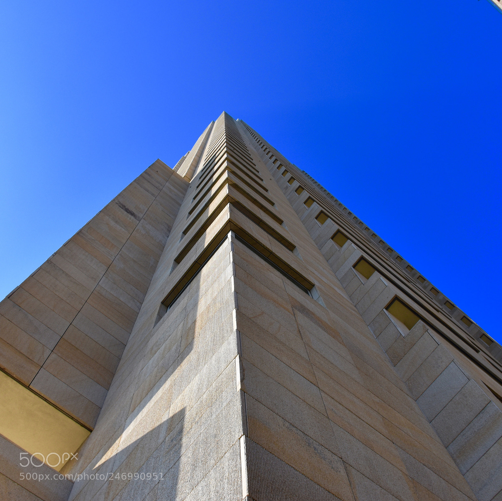 Nikon D5600 sample photo. Right in the corner photography