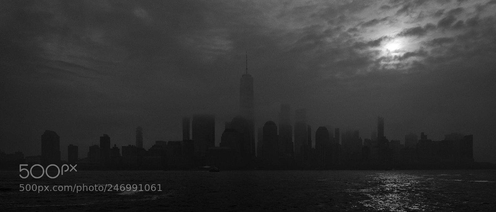 Fujifilm X-Pro2 sample photo. Taller than the fog photography