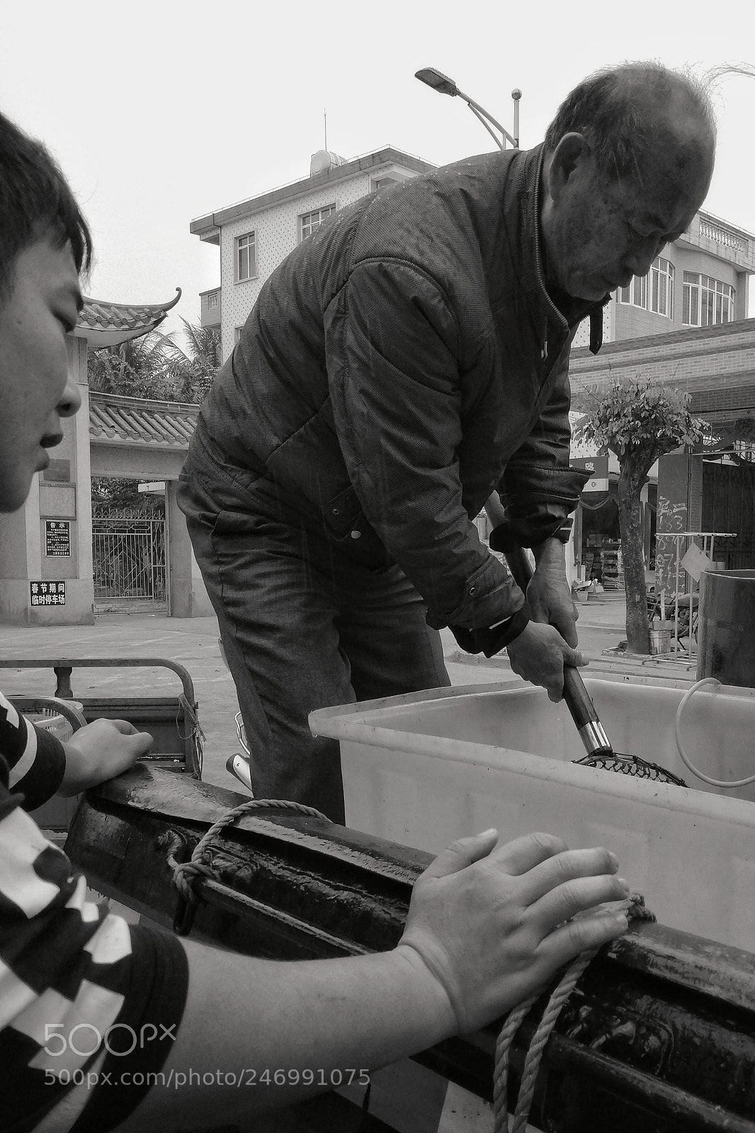 HUAWEI Mate 9 sample photo. Fishmonger photography