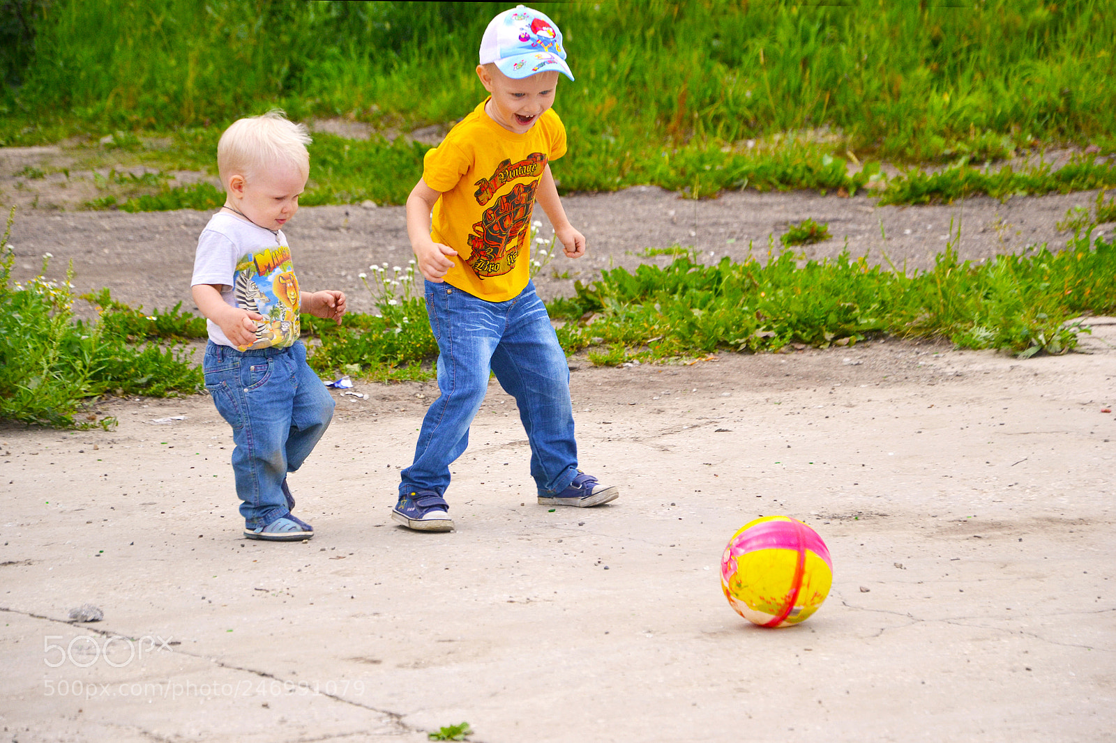 Nikon D3100 sample photo. Game photography