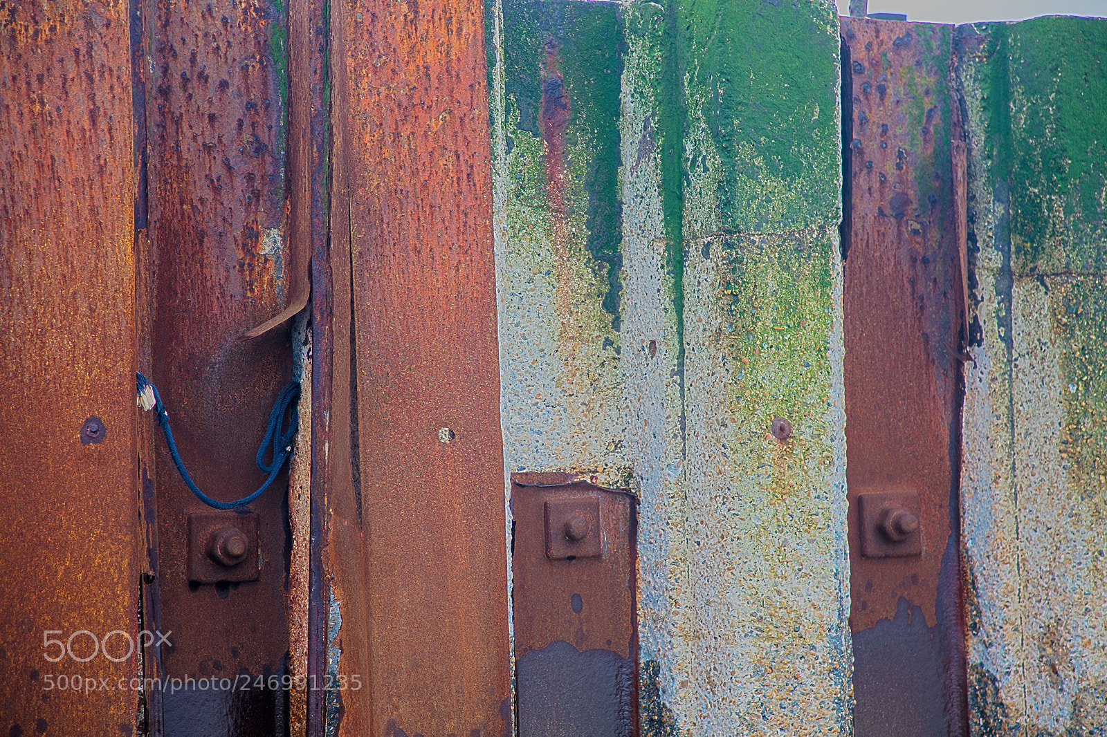 Canon EOS 5DS sample photo. Found art in the photography