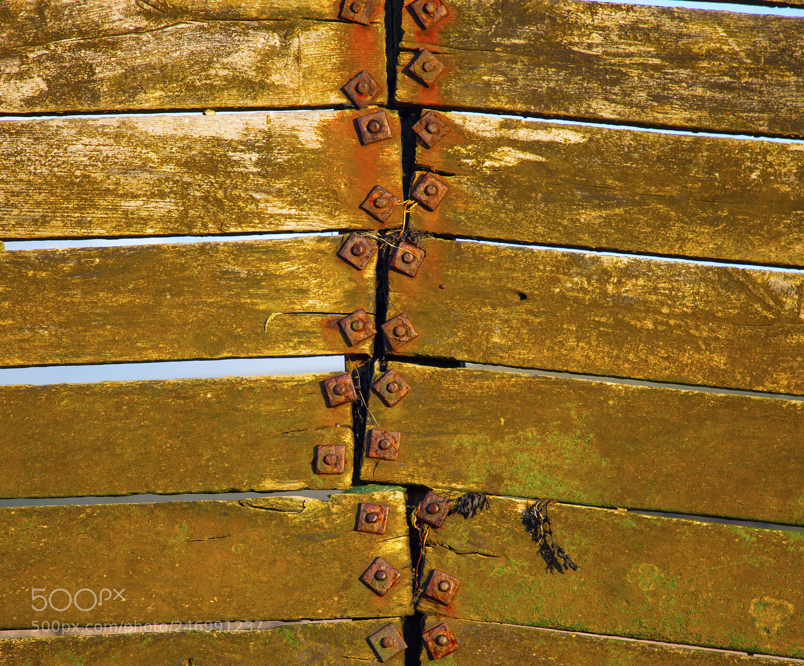 Canon EOS 5DS sample photo. Found art in the photography