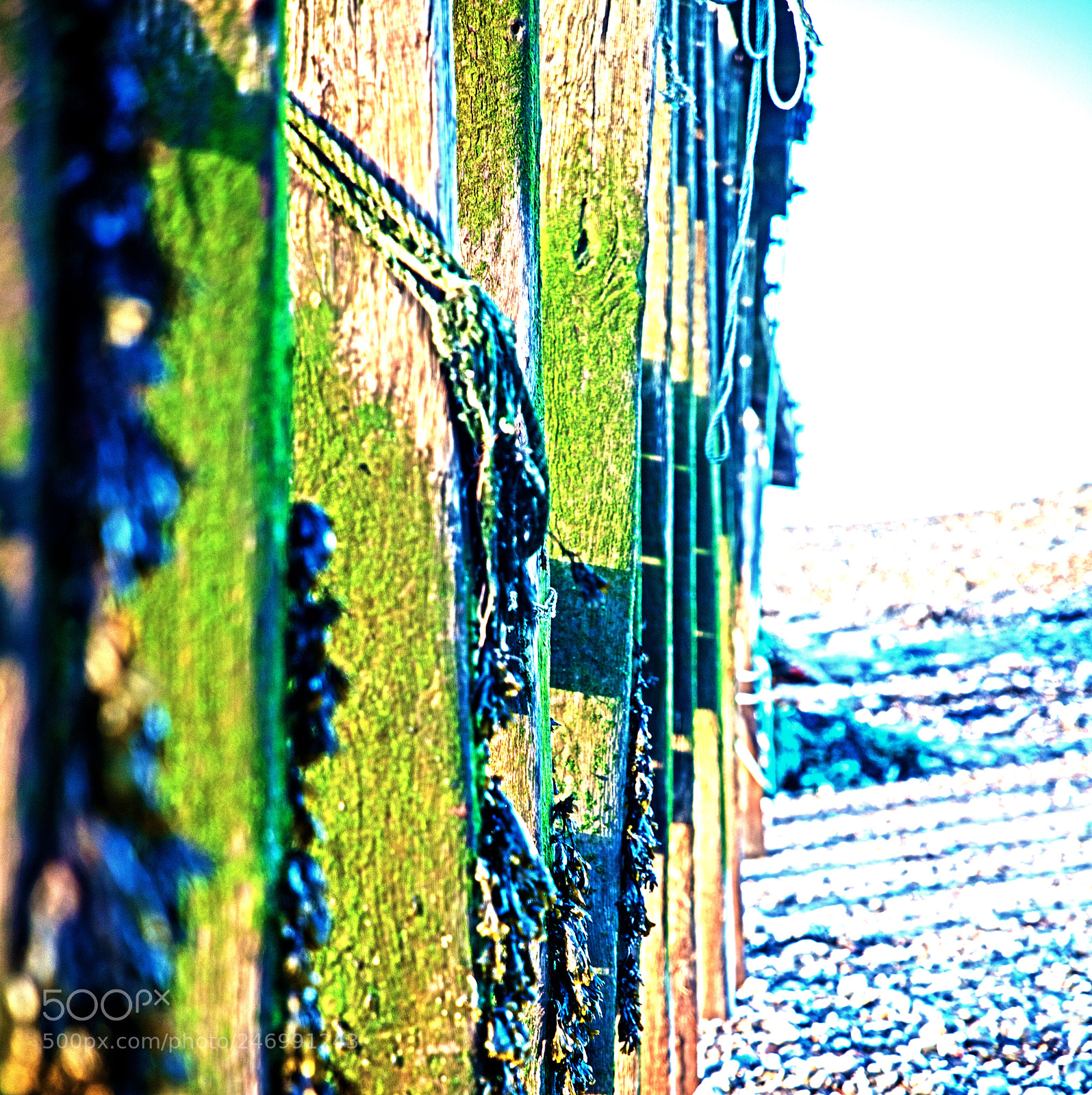 Canon EOS 5DS sample photo. Found art in the photography