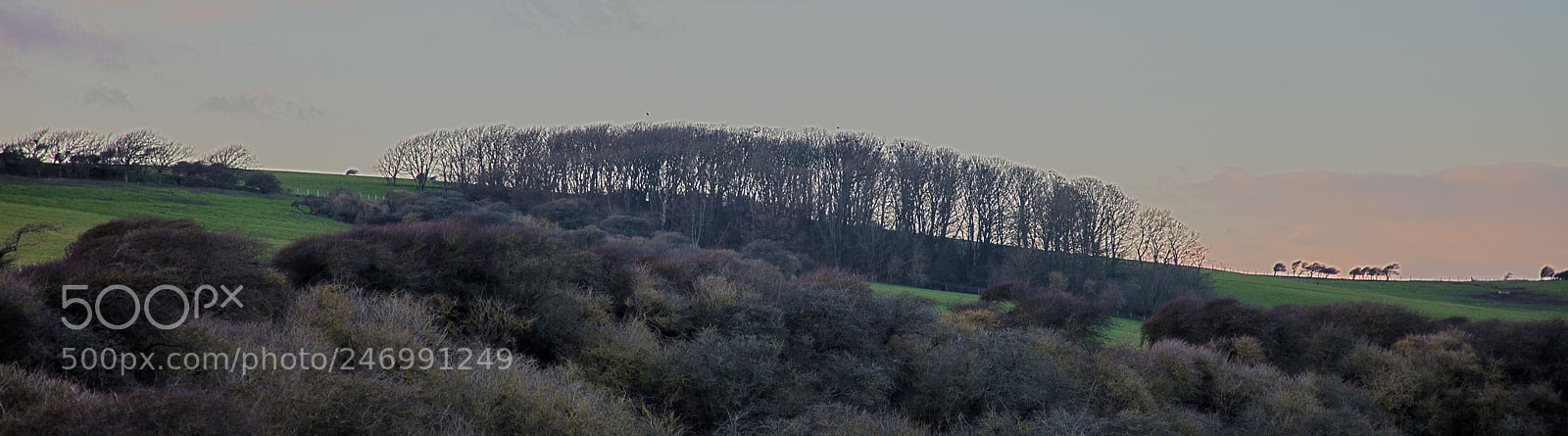 Canon EOS 5DS sample photo. Found art in the photography