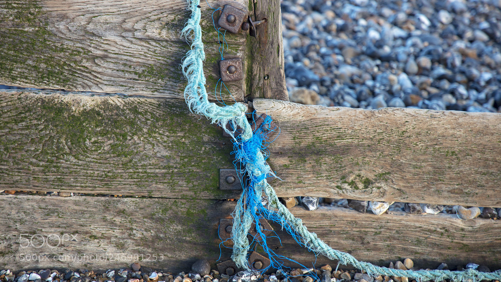 Canon EOS 5DS sample photo. Found art in the photography