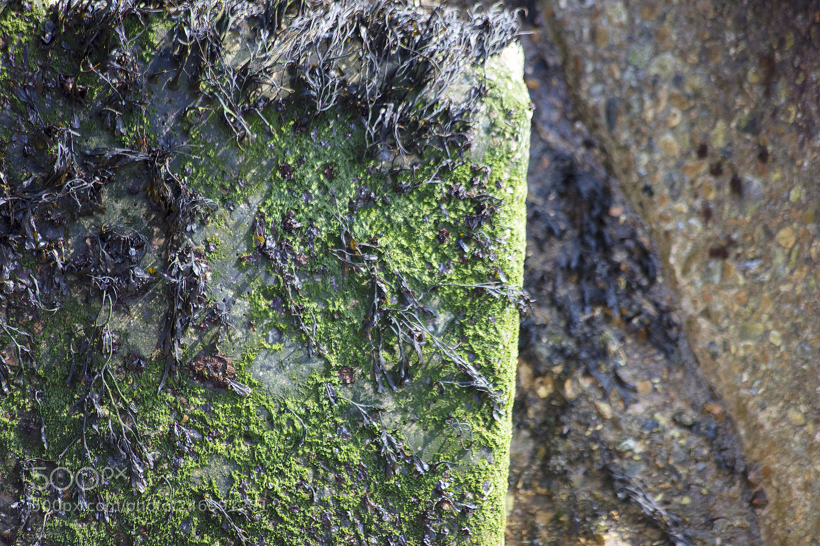 Canon EOS 5DS sample photo. Found art in the photography