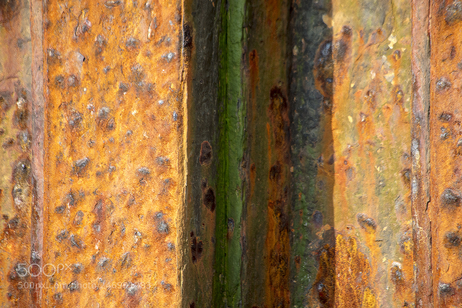 Canon EOS 5DS sample photo. Found art in the photography