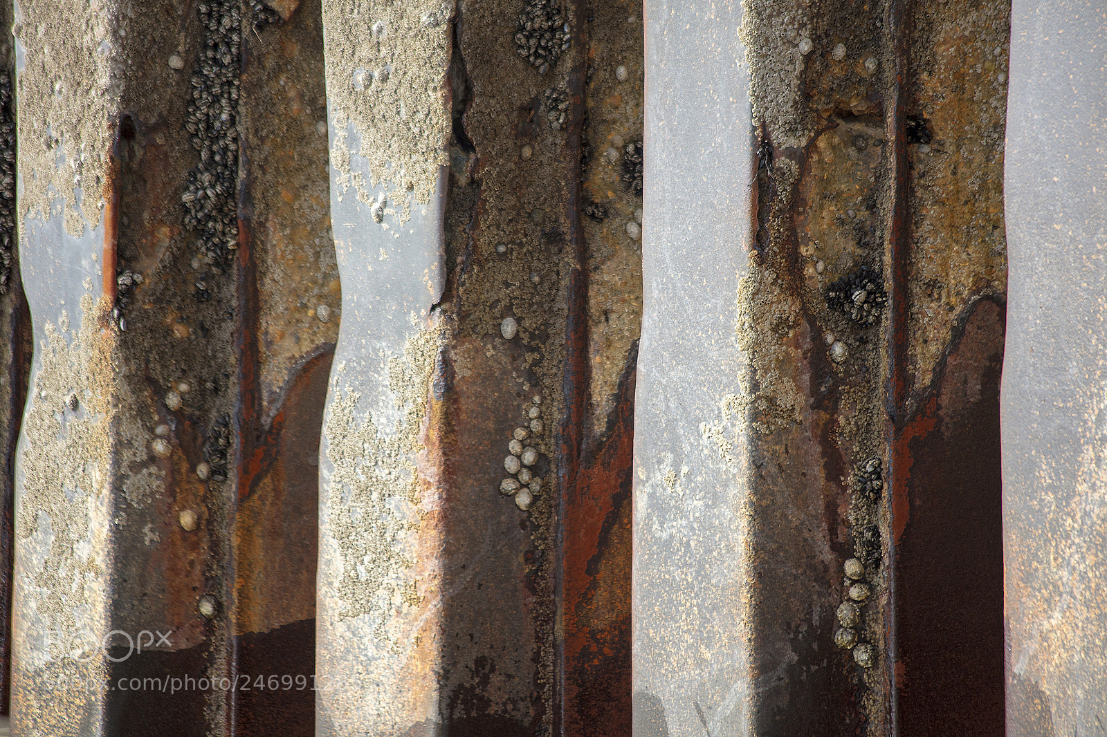 Canon EOS 5DS sample photo. Found art in the photography