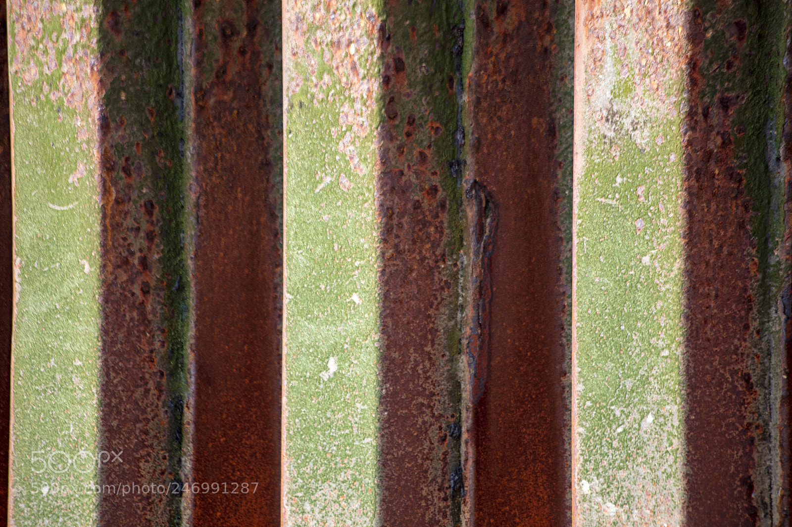 Canon EOS 5DS sample photo. Found art in the photography