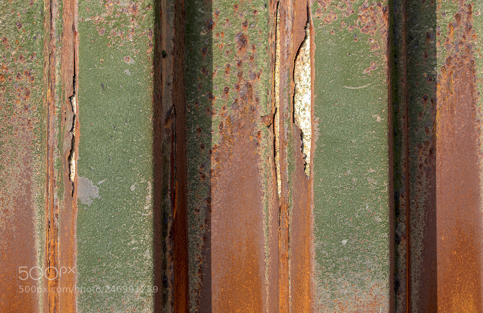 Canon EOS 5DS sample photo. Found art in the photography