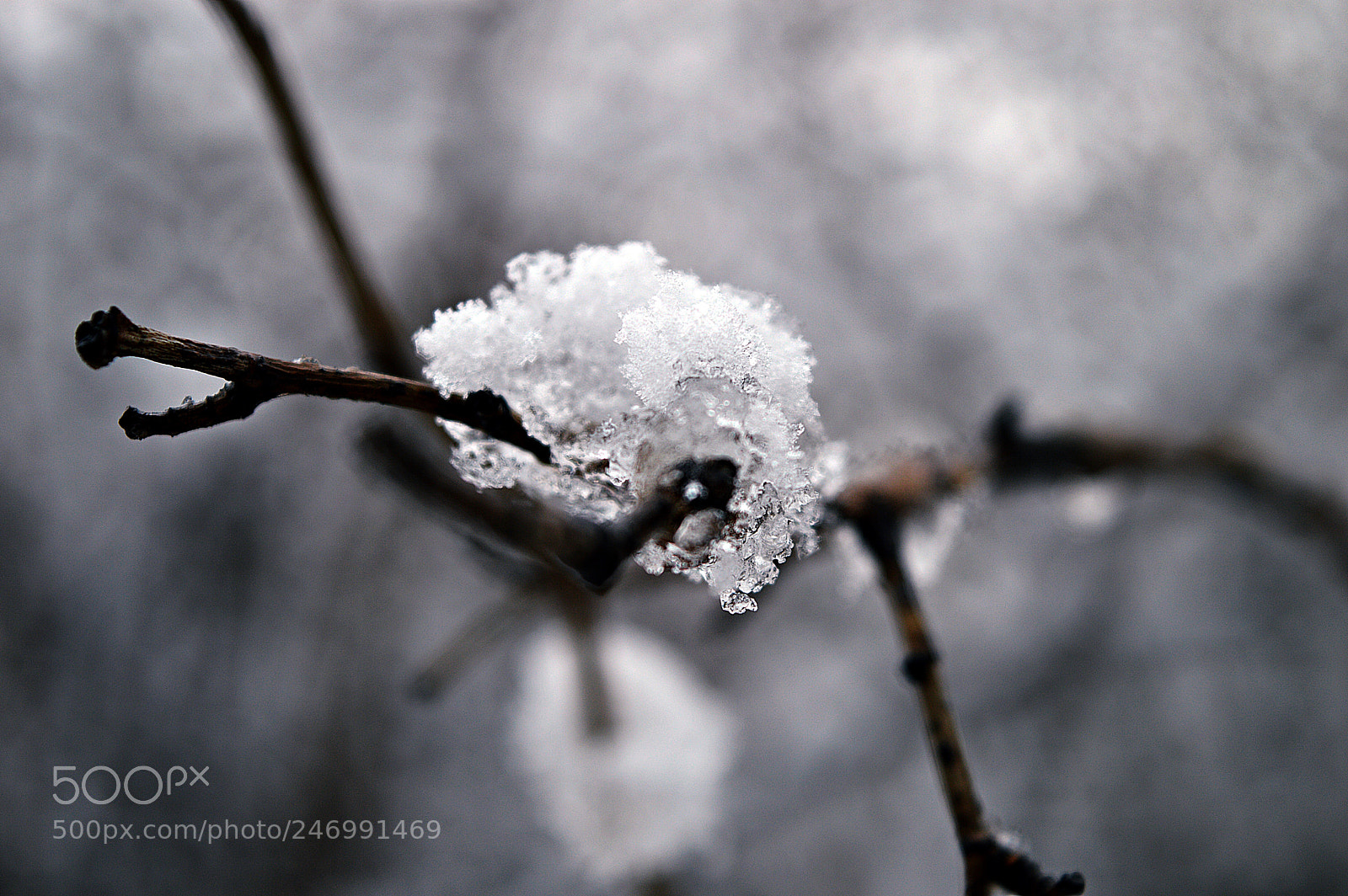 Nikon D3200 sample photo. Frozen photography