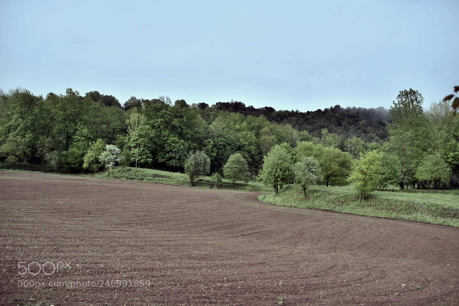 Nikon D750 + Sigma 35mm F1.4 DG HSM Art sample photo. Dsc photography