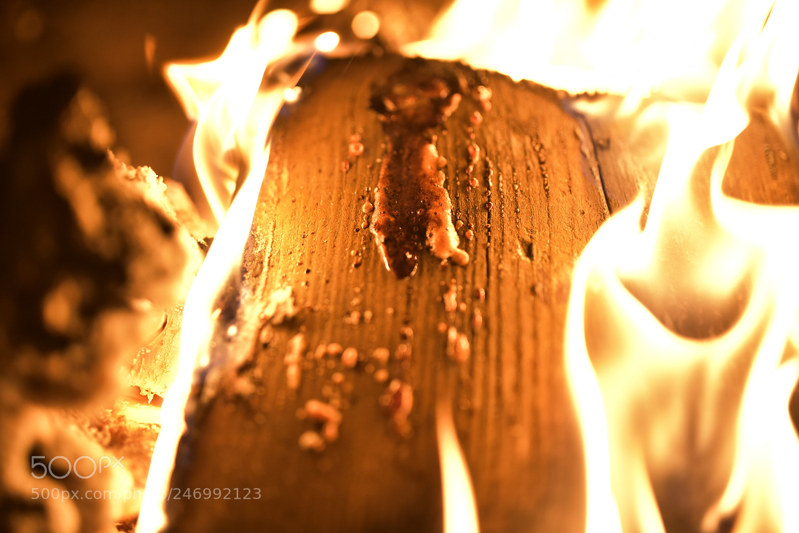 Nikon D750 + Sigma 35mm F1.4 DG HSM Art sample photo. Dsc photography