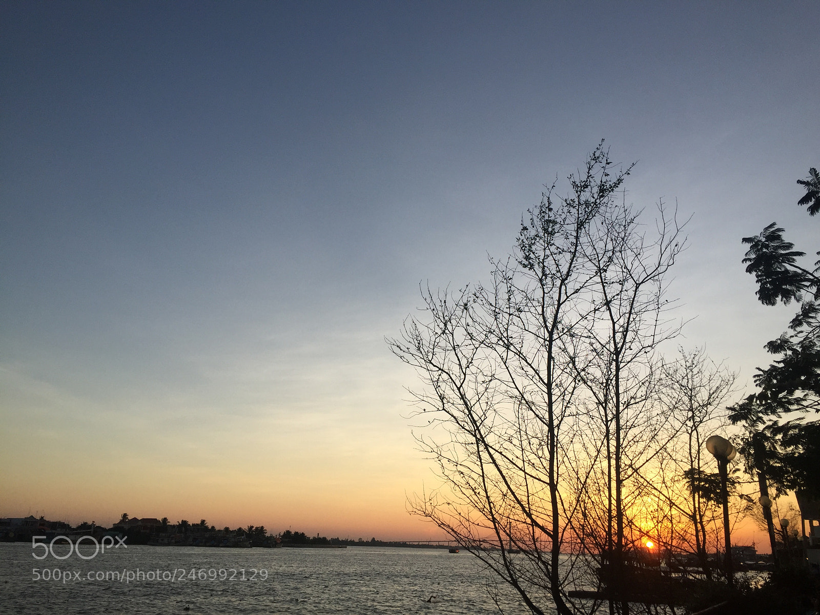 Apple iPhone 6 sample photo. Img photography