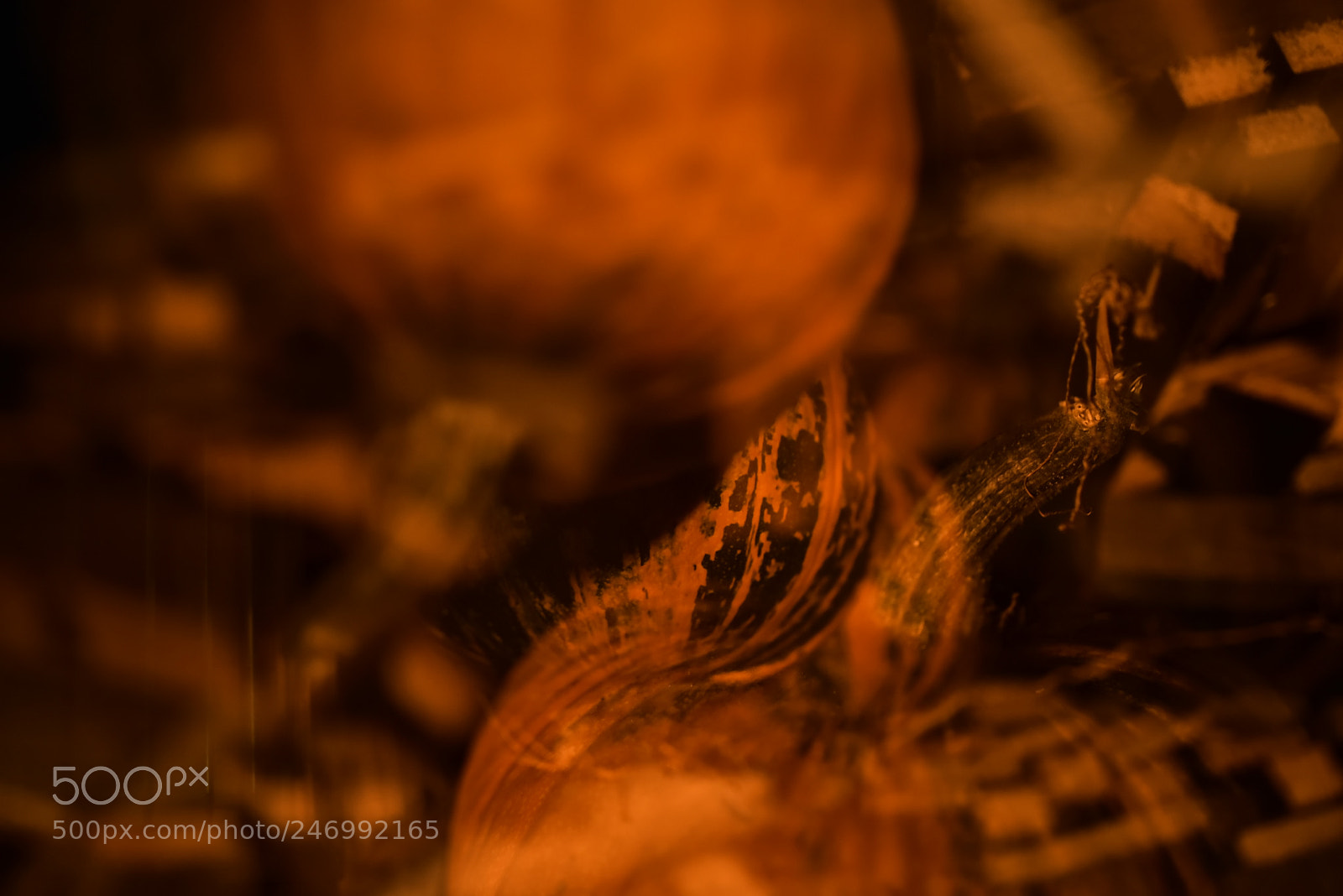 Nikon D750 + Sigma 35mm F1.4 DG HSM Art sample photo. Dsc photography
