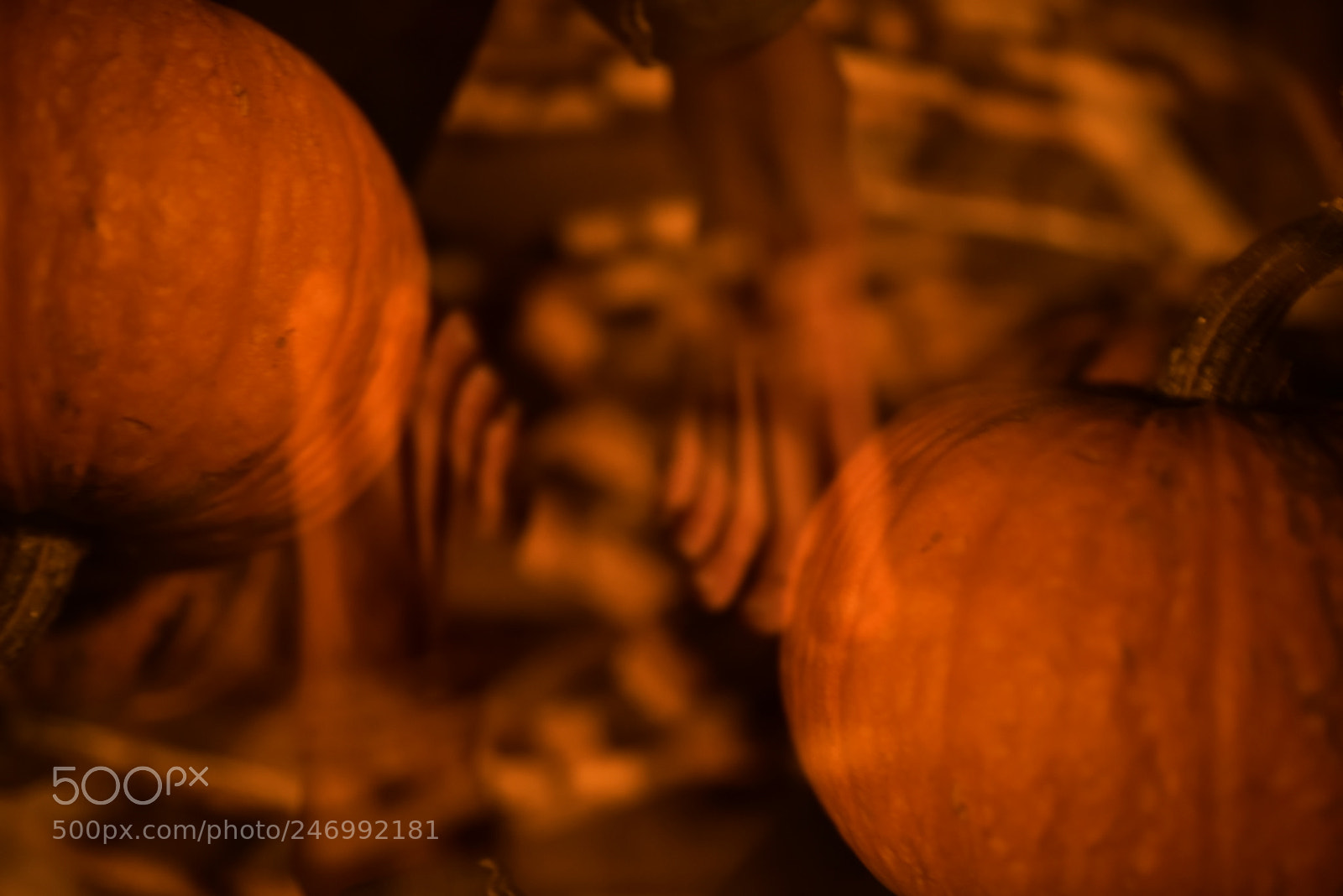 Nikon D750 + Sigma 35mm F1.4 DG HSM Art sample photo. Dsc photography