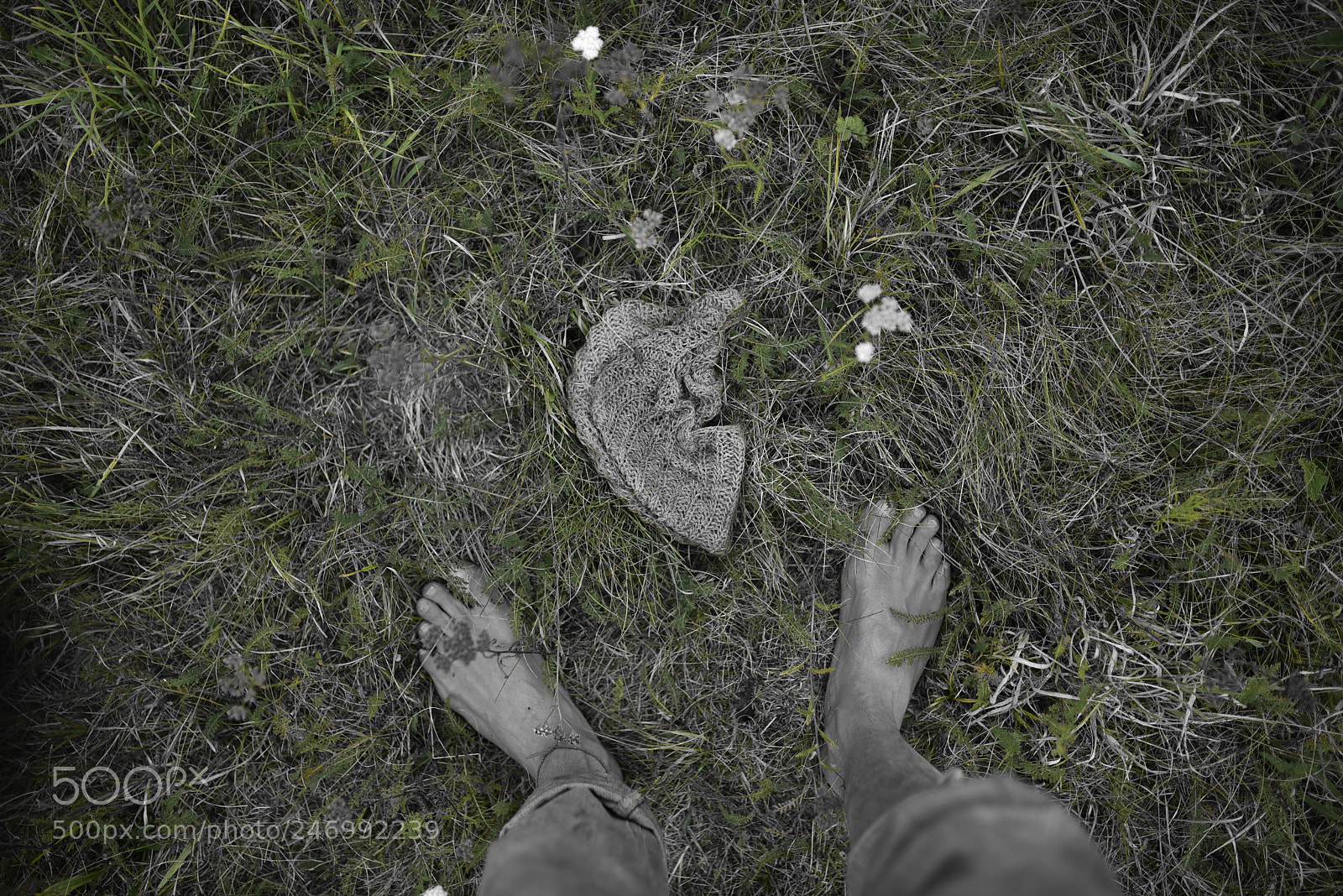 Sigma 35mm F1.4 DG HSM Art sample photo. Dsc photography