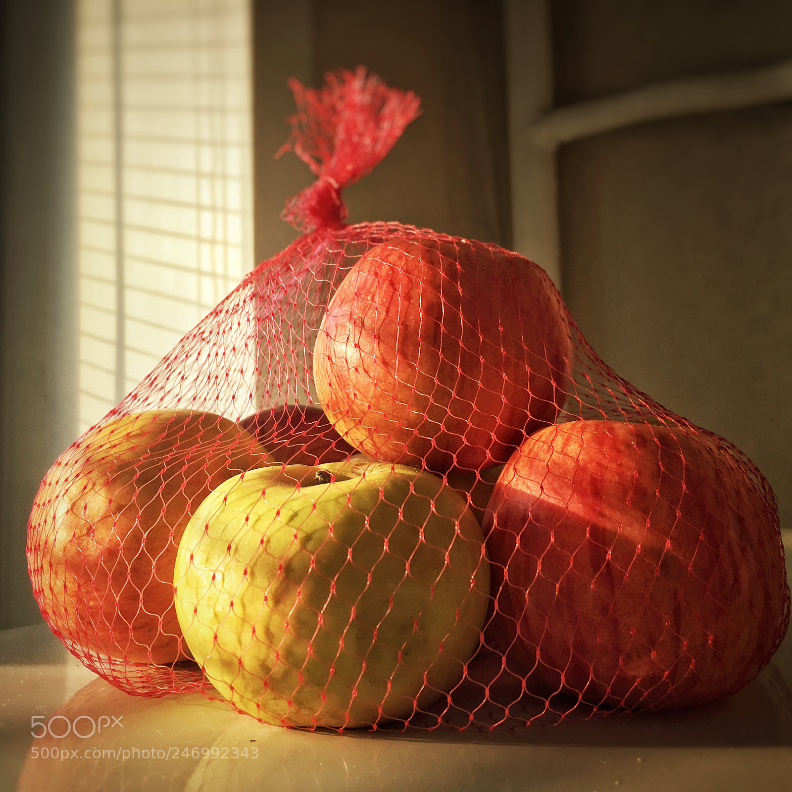 Apple iPhone SE sample photo. Apples in the sun photography