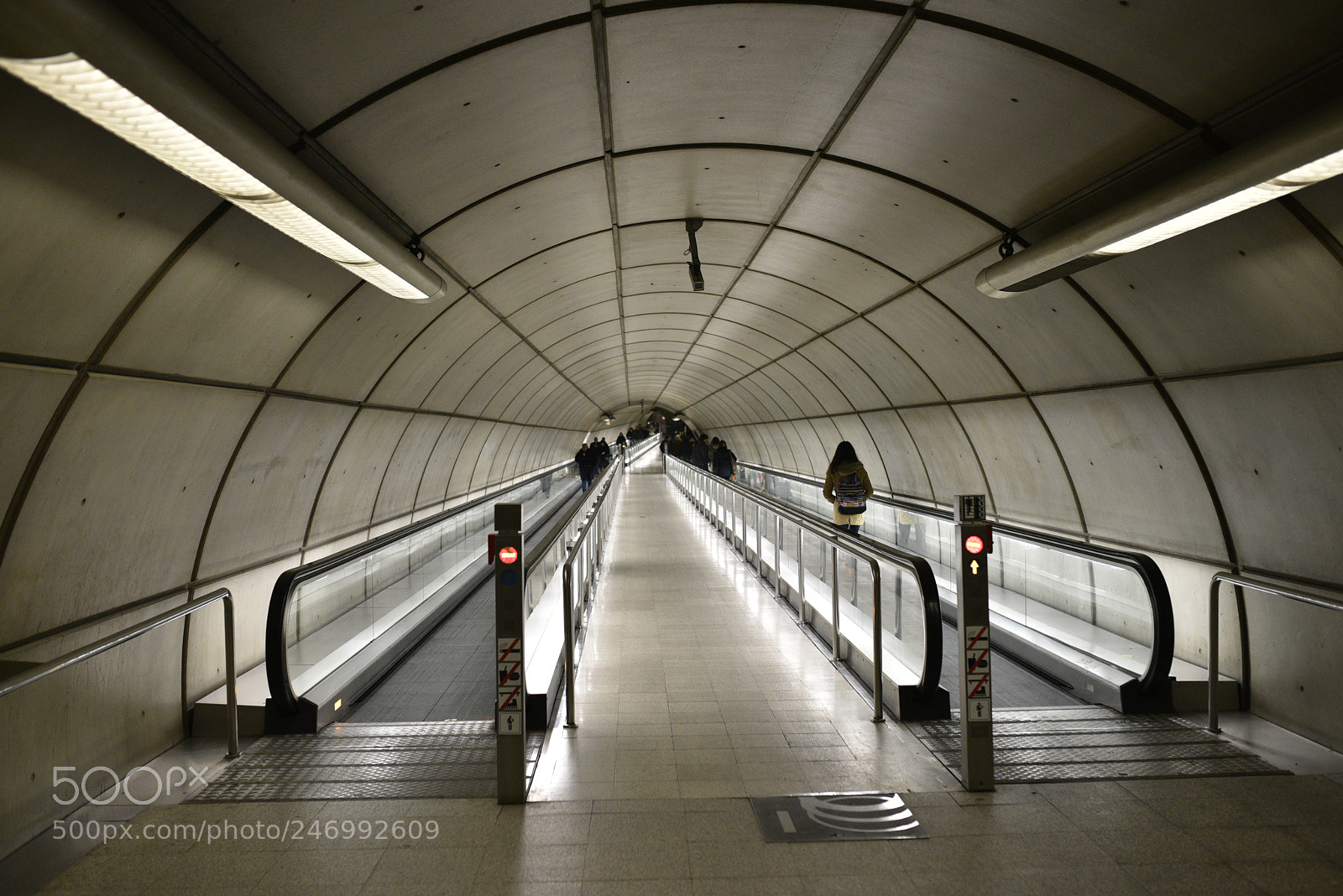 Nikon D750 + Sigma 35mm F1.4 DG HSM Art sample photo. Dsc photography