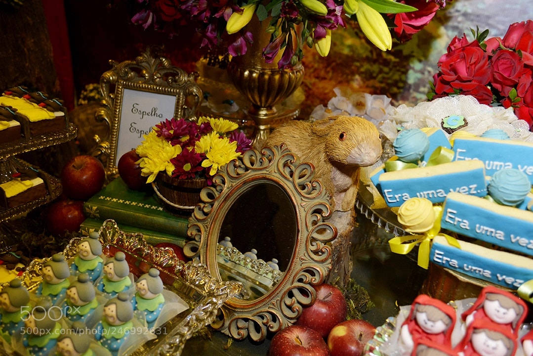 Nikon D5200 sample photo. Meet lourdes photography
