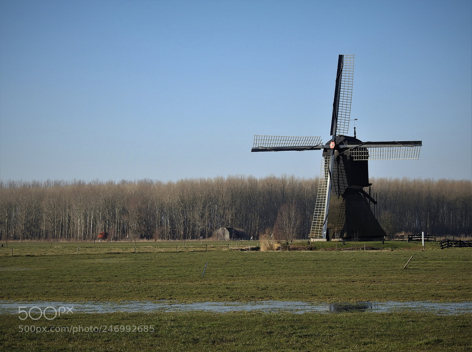 Nikon Coolpix P900 sample photo. The zandwijkse molen near photography