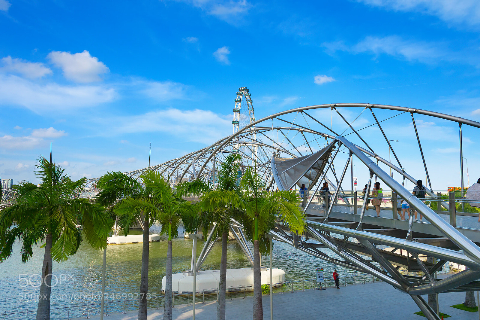 Nikon Df sample photo. People helix bridge flyer photography