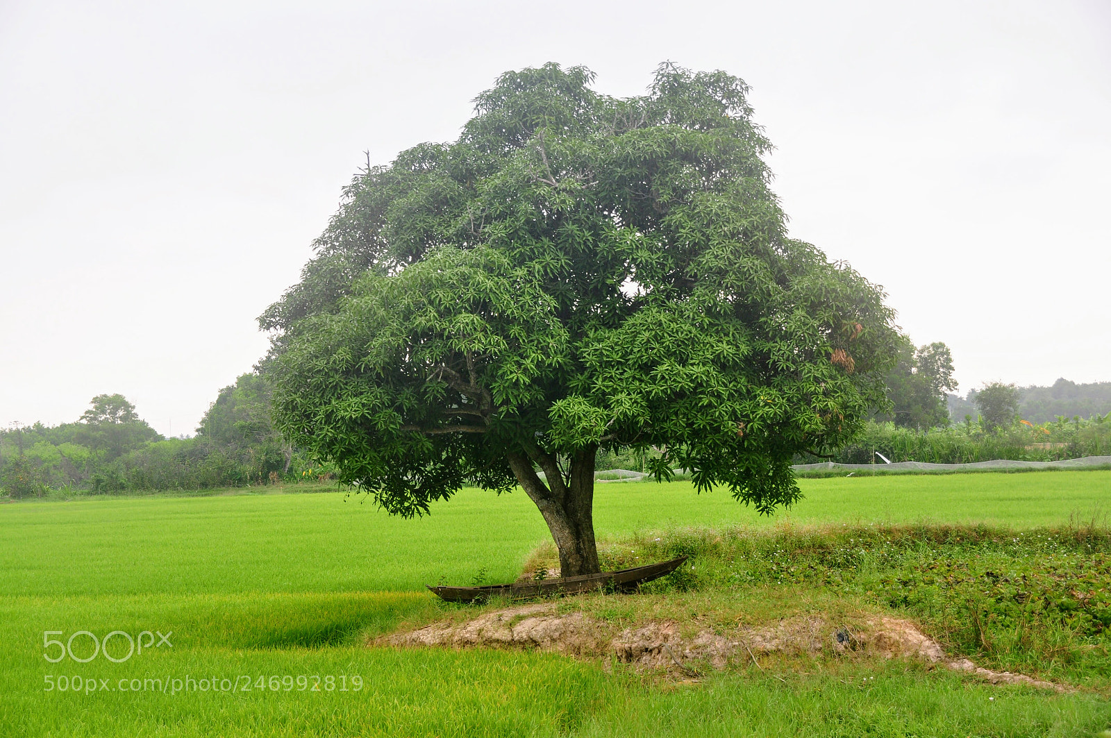 Nikon D90 sample photo. Untitled photography