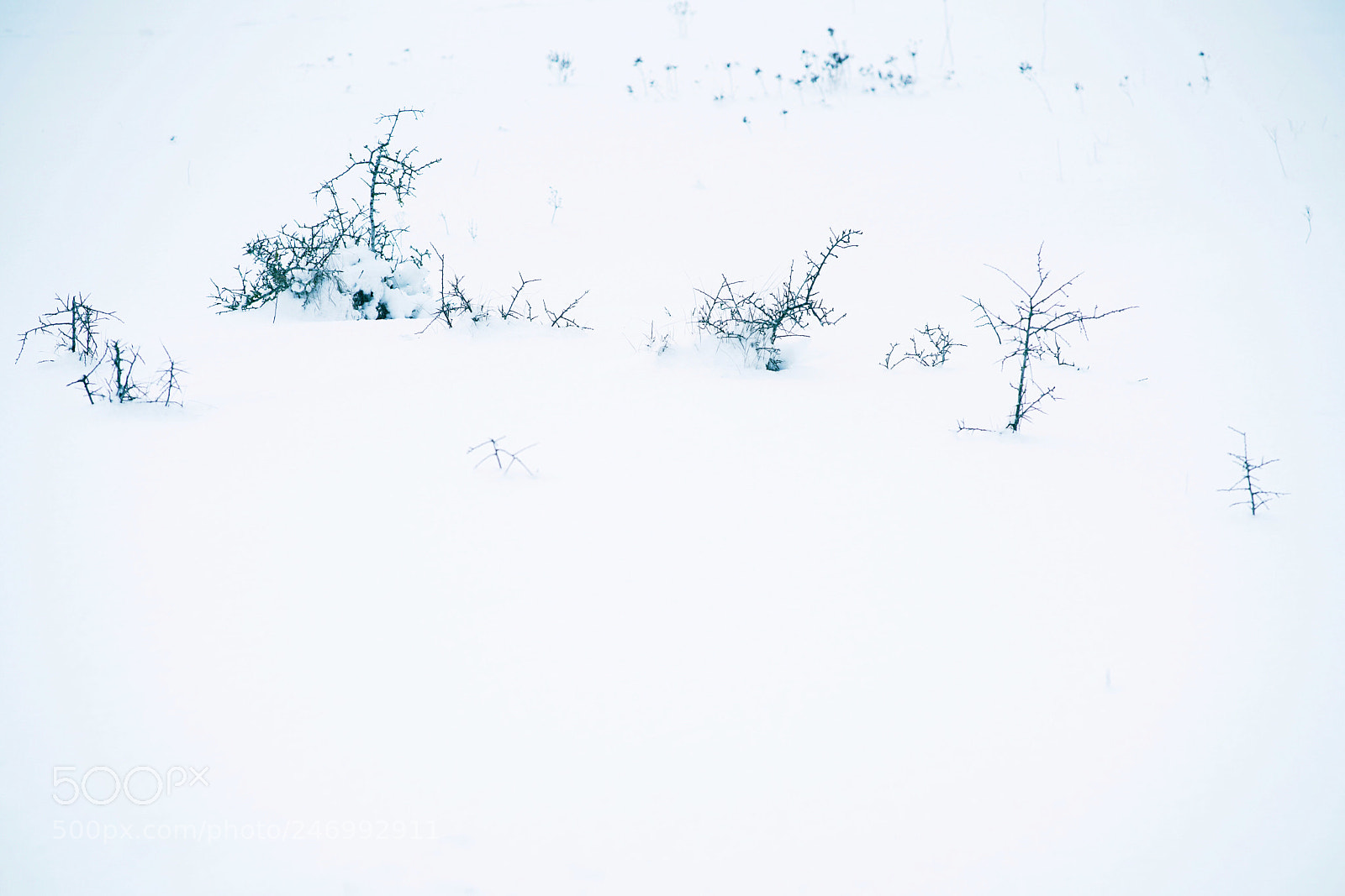 Sony a7R II sample photo. Alvaret 2 photography