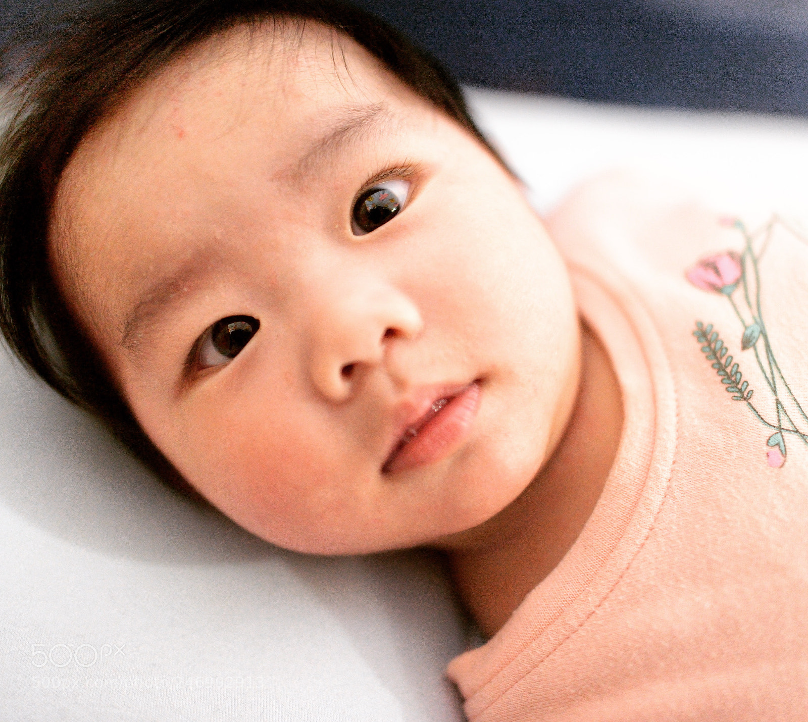 Nikon D800 sample photo. Untitled photography