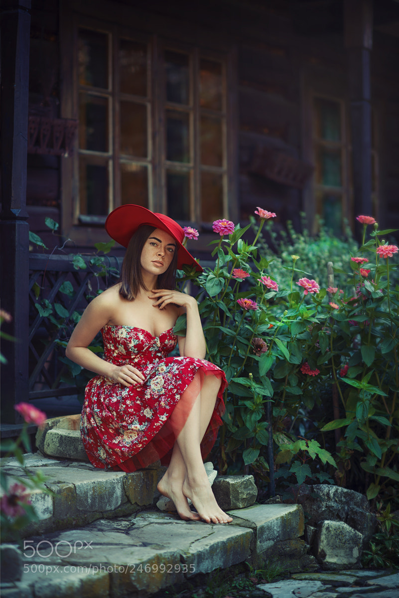 Nikon D800 sample photo. Classy photography