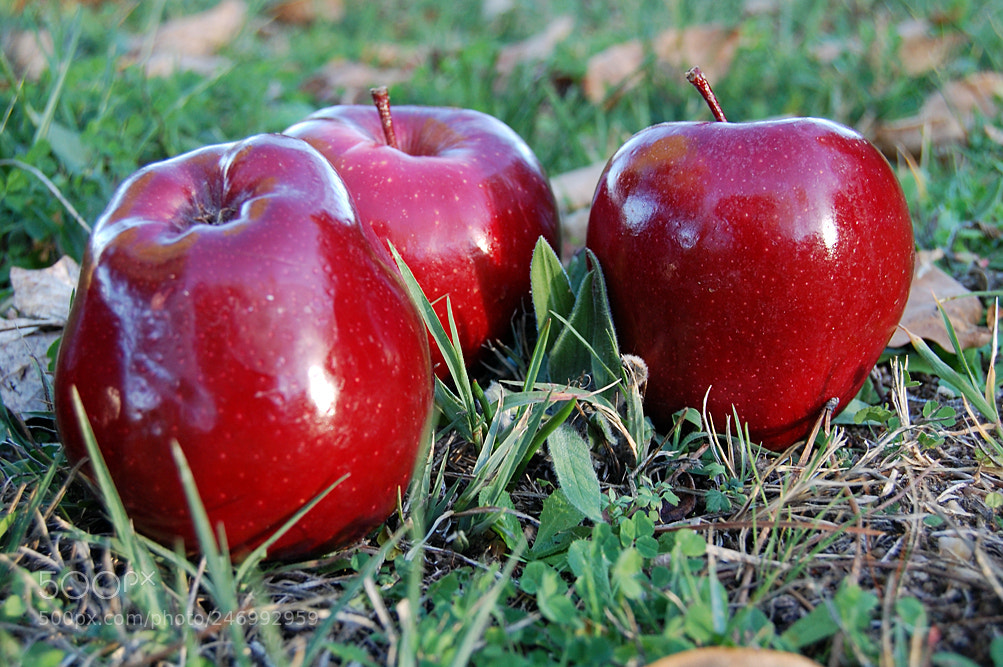 Nikon D40 sample photo. Manzanas rojas photography