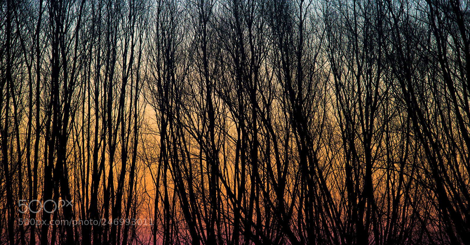 Nikon D800 sample photo. Lines photography