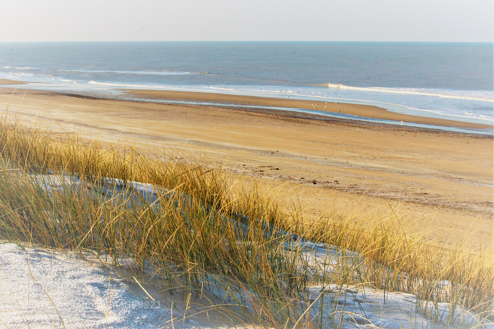Canon EOS 600D (Rebel EOS T3i / EOS Kiss X5) sample photo. Zandvoort holland photography
