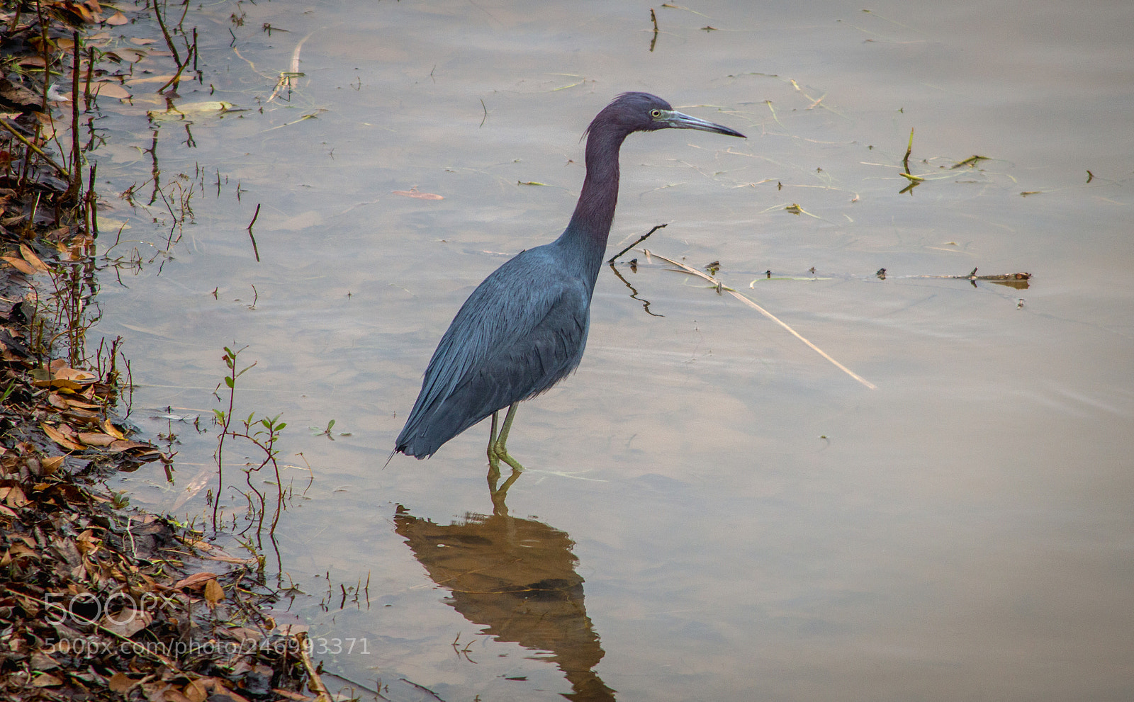 Nikon D3200 sample photo. Patience photography