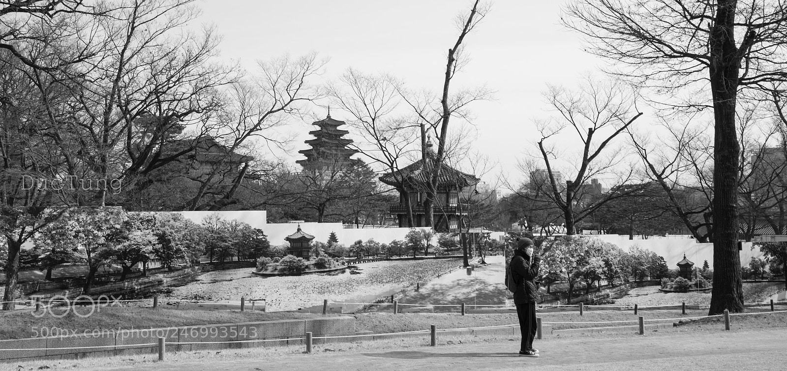 Sony a7 II sample photo. Dsc photography