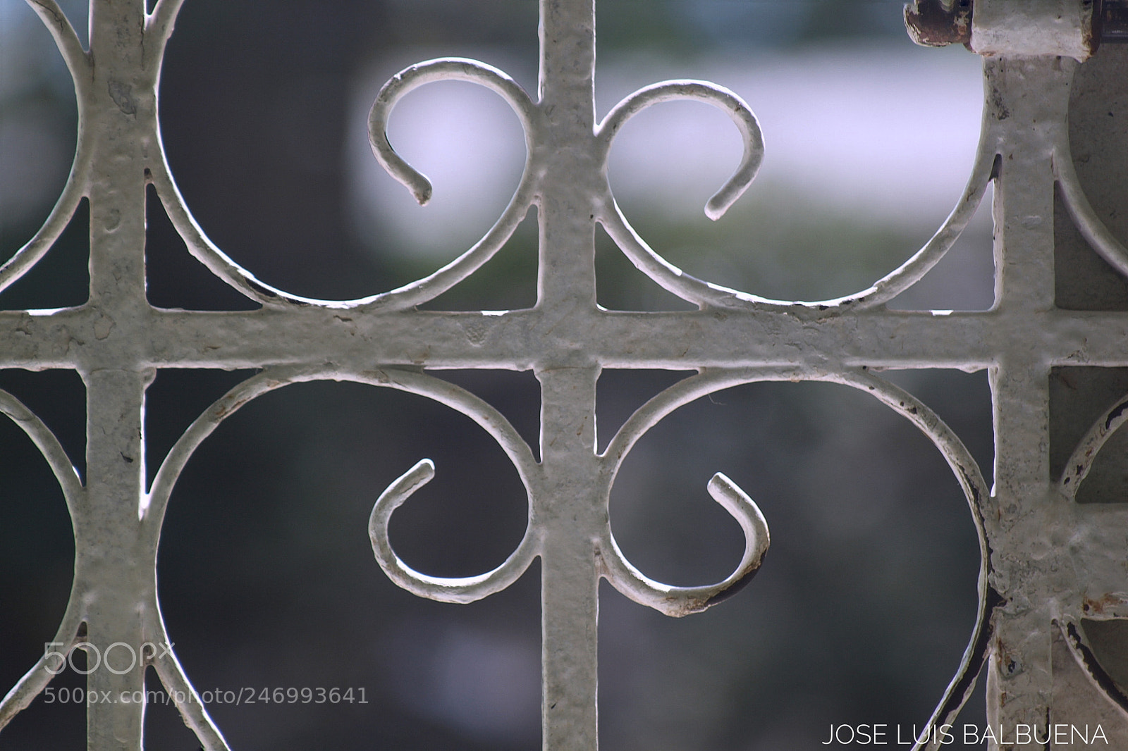Canon EOS 500D (EOS Rebel T1i / EOS Kiss X3) sample photo. Wrought photography