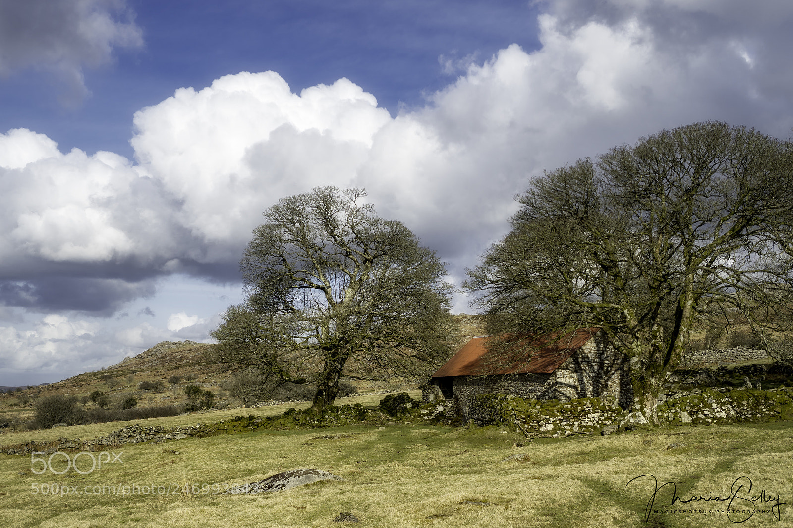 Olympus OM-D E-M1 Mark II sample photo. Elmsworthy barn photography
