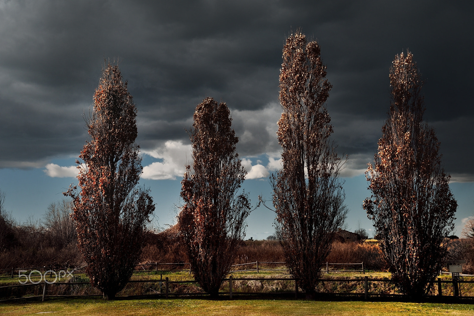 Nikon D610 sample photo. Carpe diem photography