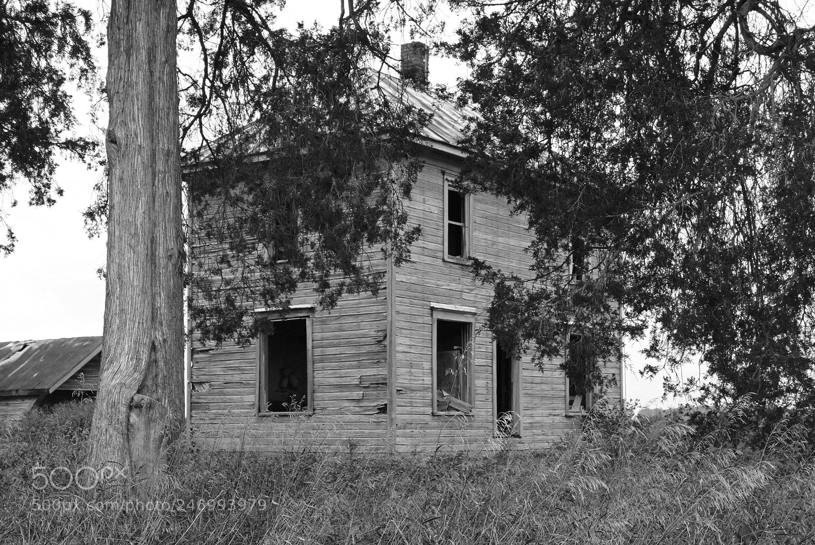 Canon EOS 550D (EOS Rebel T2i / EOS Kiss X4) sample photo. Abandoned house delaware county photography