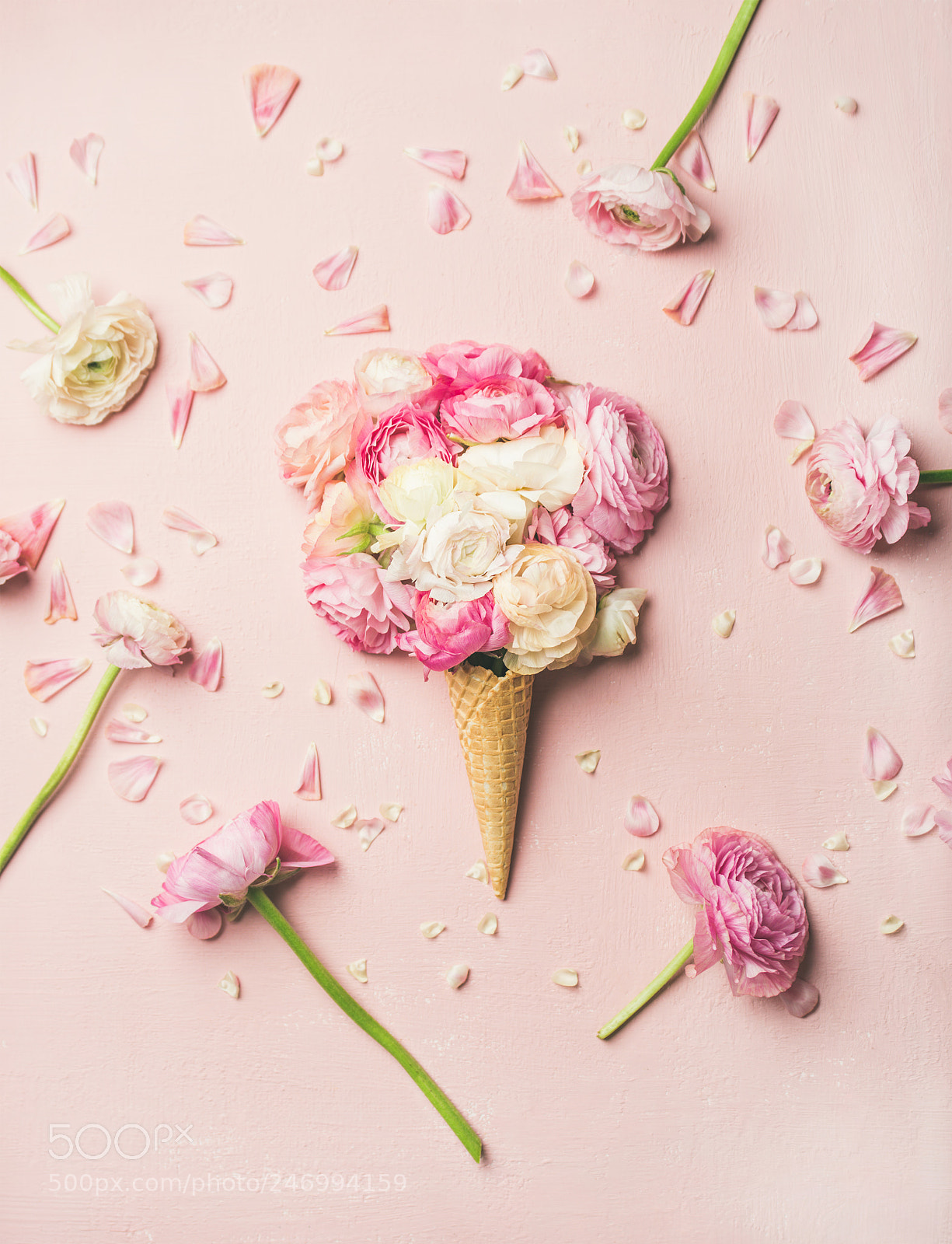 Nikon D610 sample photo. Waffle cone with pink photography
