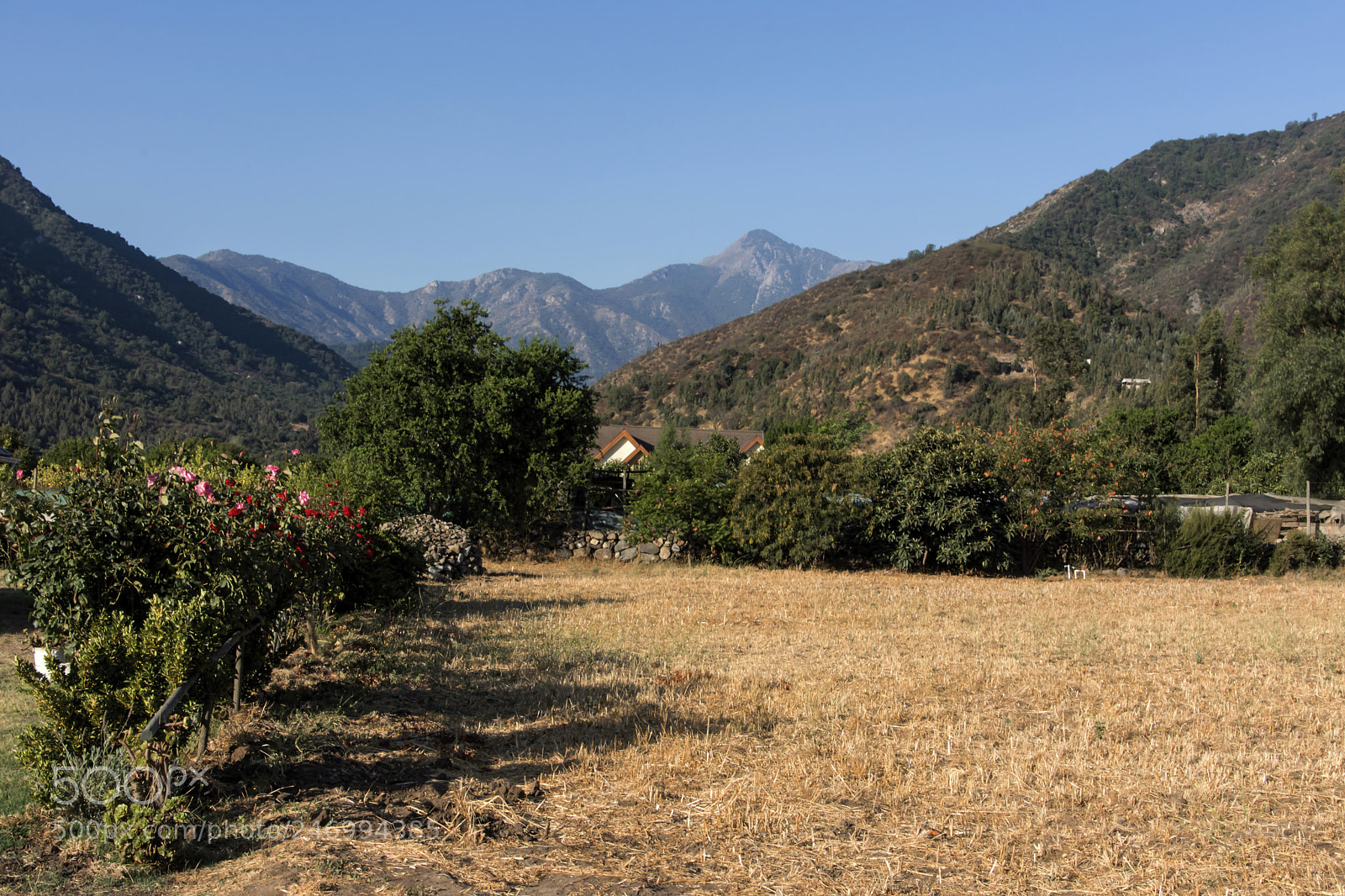 Nikon D7200 sample photo. Bucolic photography