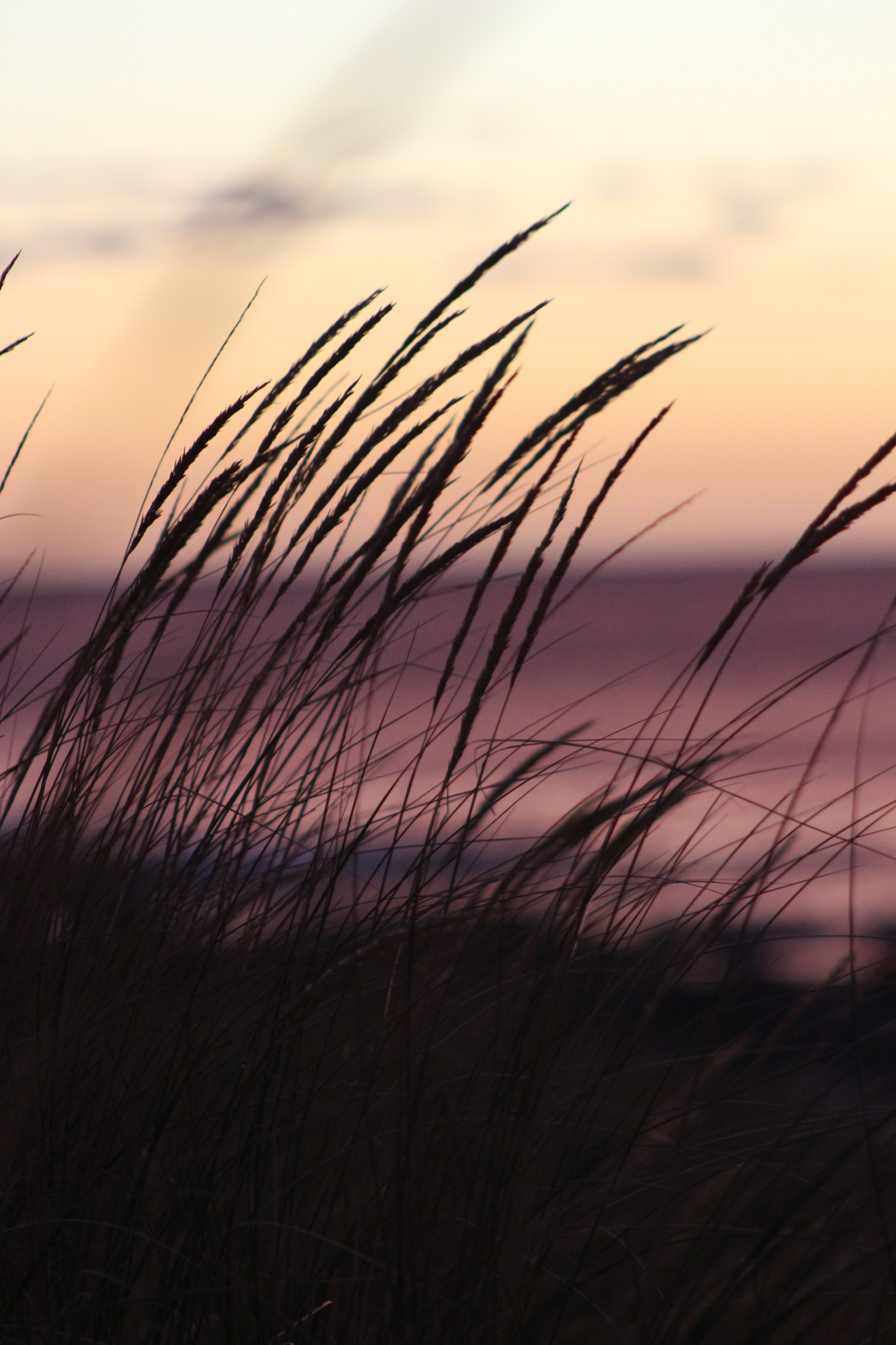 Canon EOS 700D (EOS Rebel T5i / EOS Kiss X7i) + EF75-300mm f/4-5.6 sample photo. Soft beach sunset photography