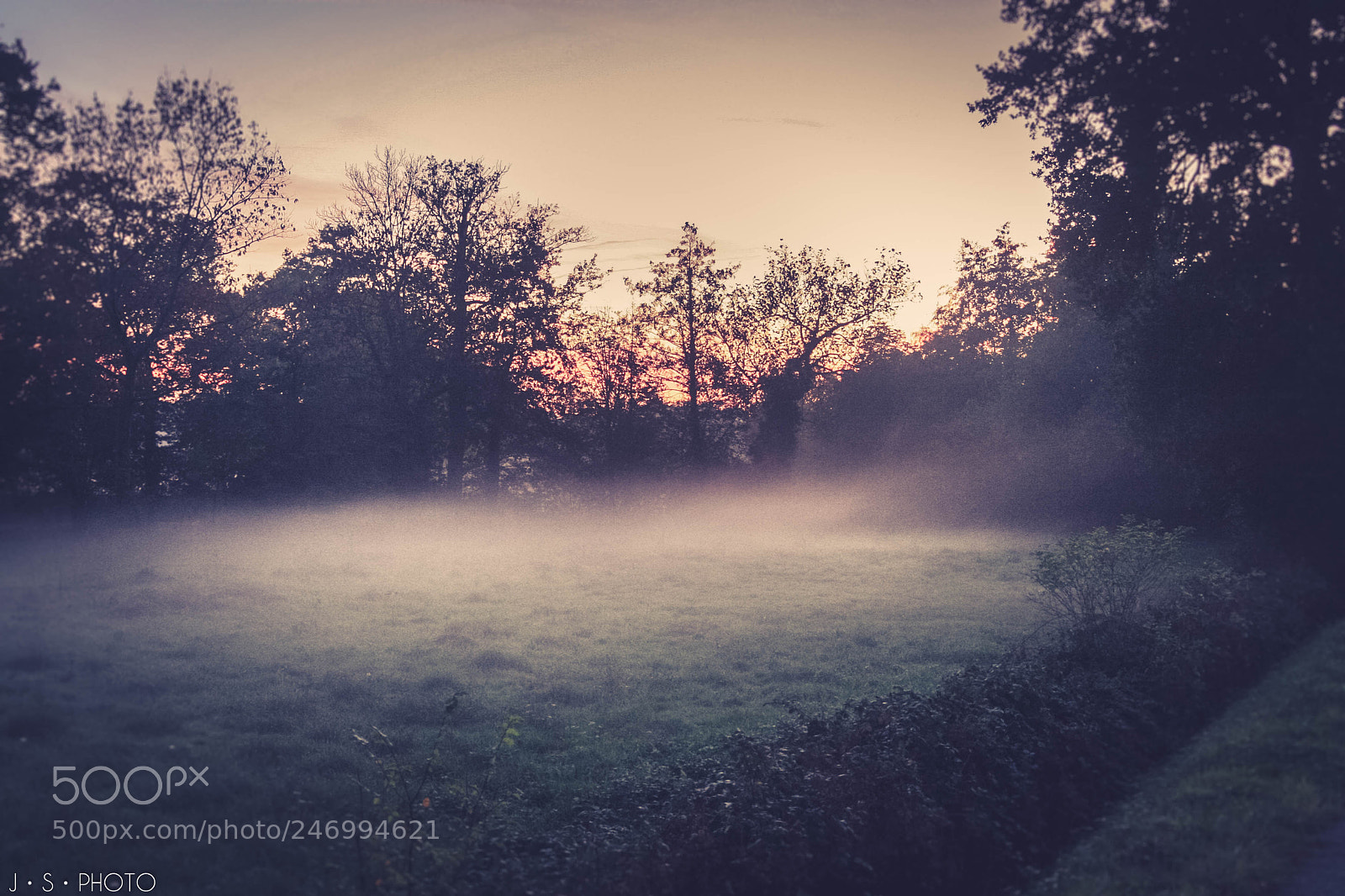 Canon EOS 30D sample photo. Sunset in the fog photography