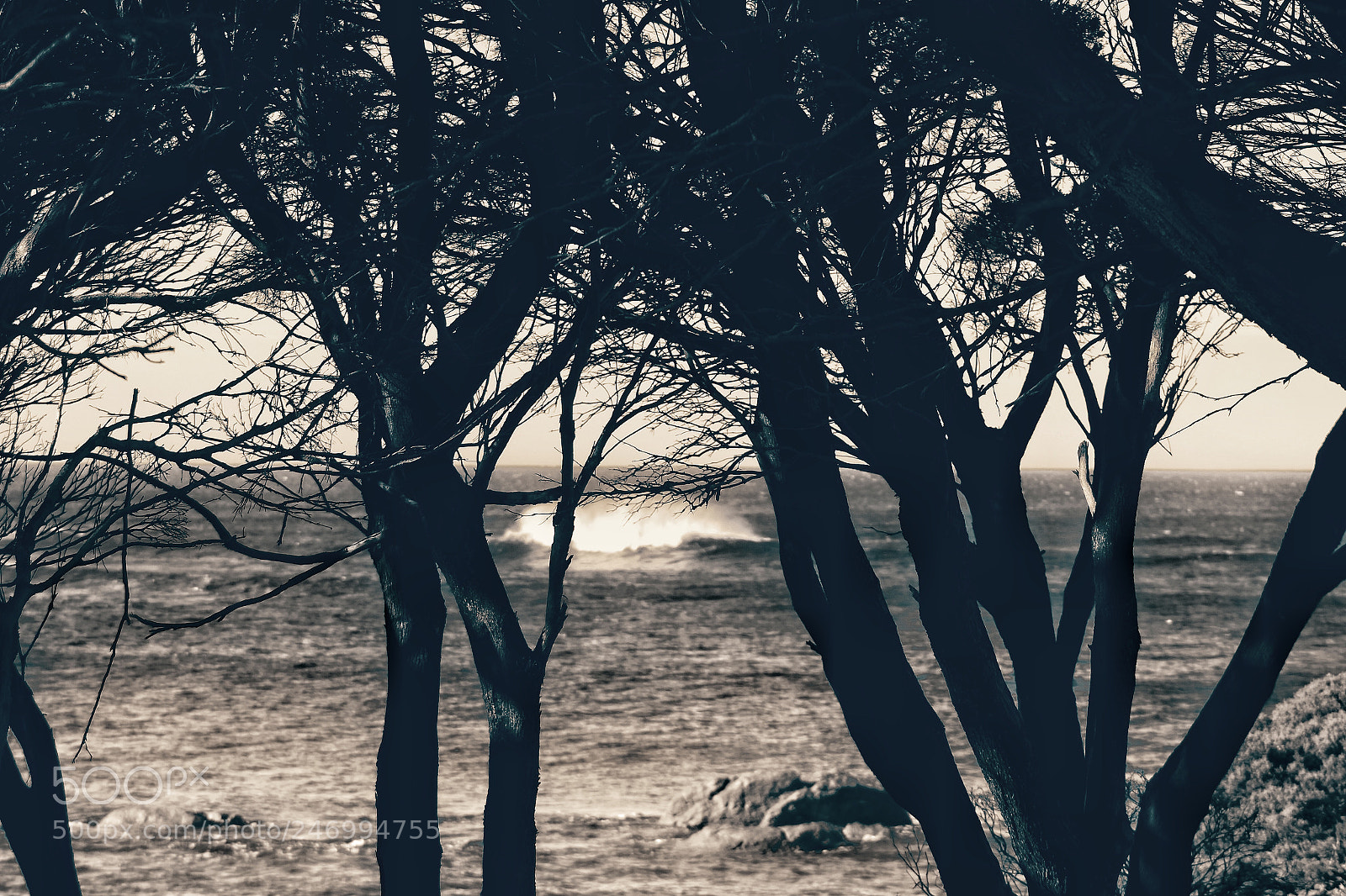 Canon EOS 700D (EOS Rebel T5i / EOS Kiss X7i) sample photo. Cape naturaliste, western australia photography