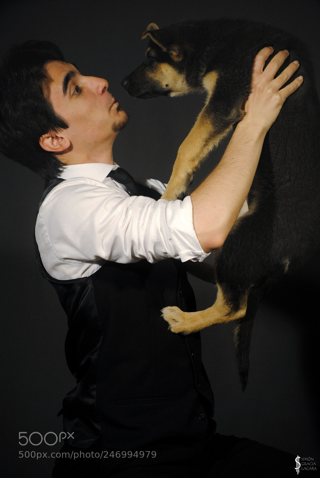Nikon D3000 sample photo. Twelve months photography