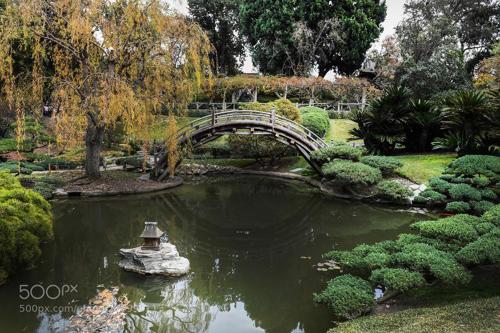 Nikon D5 sample photo. Huntington park los angeles photography
