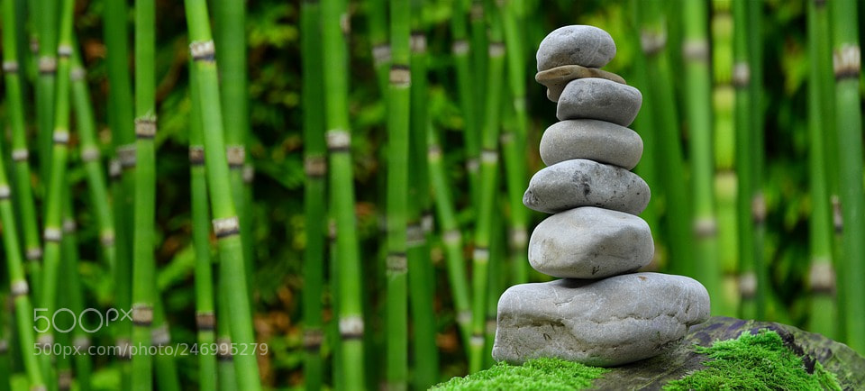 Nikon D5100 sample photo. Zen photography